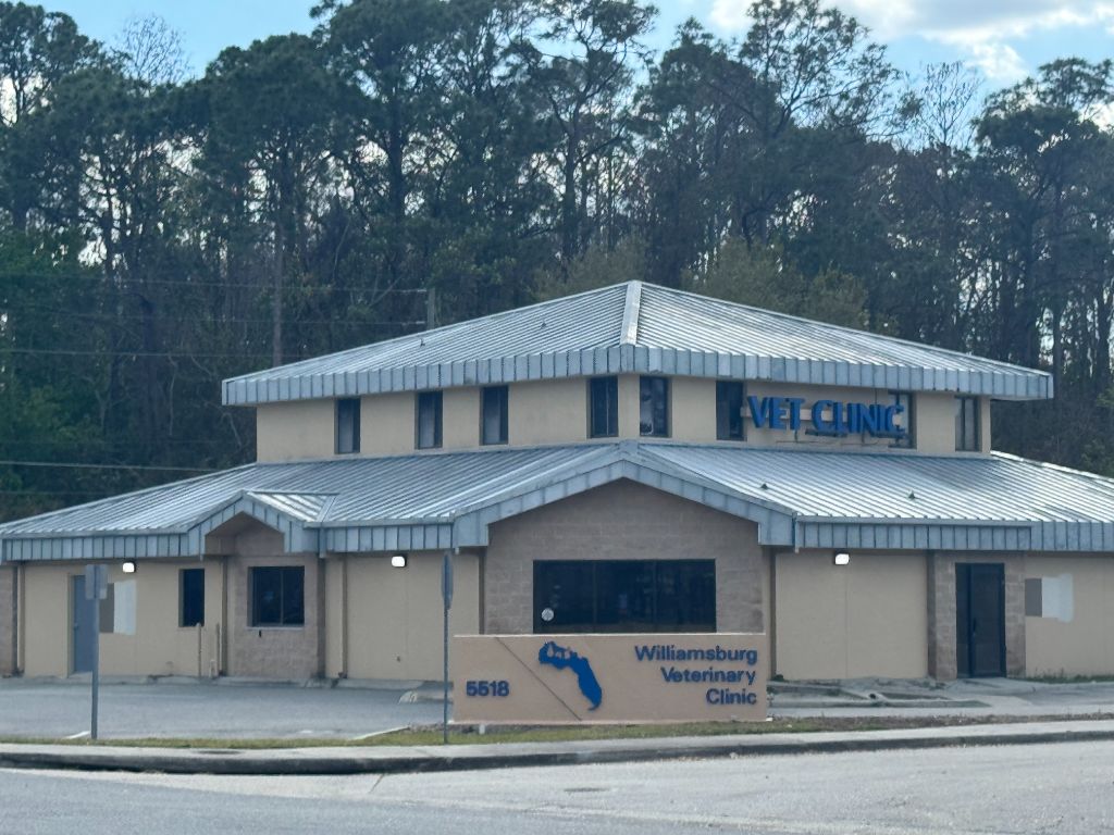 Wide shot of Williamsburg Vet Clinic after — full building with bare metal roof ready for primer