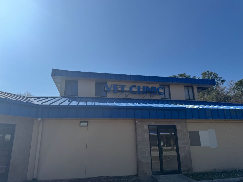 Williamsburg Vet Clinic front — metal roof fully coated in blue paint before sandblasting